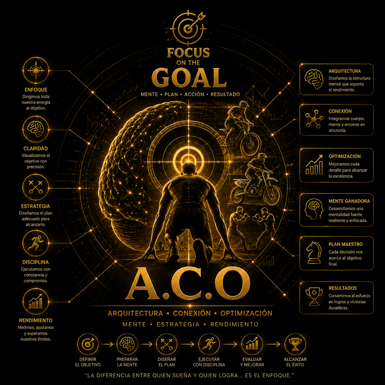 Focus ACO